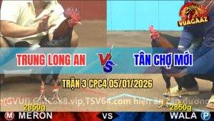 Trận 3 CPC4 5/1/2026 - Vô Trong Điều Xanh Đá Điều Lá Đầu Chấm Muối