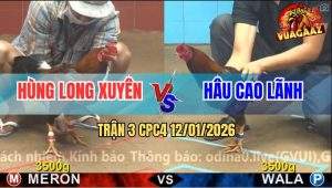 Trận 3 CPC4 12/1/2025 - Xám Đá Hay Xuất Sắc, Điều Đá Còn Khủng Hơn
