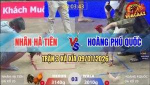 Trận 3 Xà Xía 9/1/2026 - Xám Đá Quá Nghiệt, Bướm Dính Chưởng Lật Xe