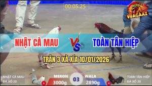 Trận 3 Xà Xía 10/1/2026 - Bướm Chân Trắng Đá Điều Sùi Bọt Mép Nằm Đống