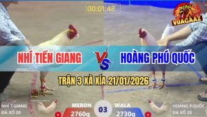 Trận 3 Xà Xía 21/1/2026 - Bướm Canh Chặn Cực Khéo: Úa Dính Lưng Ói Cơm