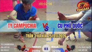 Trận 3 Xà Xía 25/1/2026 - Điều Anh Cu Nhỏ Mà Có Võ, Đá Đỏ Ra Máu Lỏng