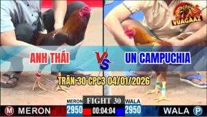 Trận 30 CPC3 4/1/2026 - Khét Anh Un Gãy Giò Phản 5 Lại, Đưa Biện Đi Xa