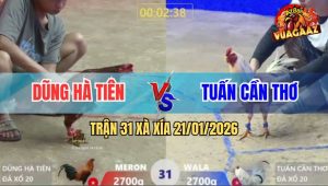 Trận 31 Xà Xía 21/1/2026 - Bướm Đá Quá Đâm Bông Chịu Hết Nổi Bung Chạy