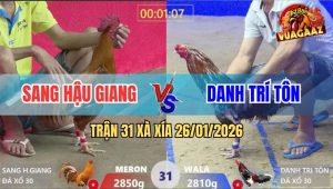 Trận 31 Xà Xía 26/1/2026 - Điều Bông Trân Trắng Anh Danh Đá Bo Xe Đụng