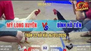 Trận 32 Xà Xía 16/1/2026 - Bướm Đâm Chân Nào Xám Lủng Mình Chân Đó