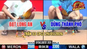 Trận 33 CPC3 29/1/2026 - Xám Chay Một Hồi Vàng Đi Bán Muối Luôn