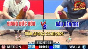 Trận 34 CPC3 27/1/2026 - Que Cọp Anh Gấu Đâm Điều Lũng Mình Bung Bồ