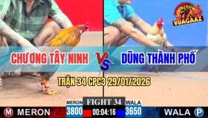 Trận 34 CPC3 29/1/2026 - Xanh Bến Thế, Đá Đỏ Hư Hình Nằm Chờ Chết