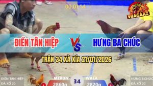 Trận 34 Xà Xía 21/1/2026 - Gà Que Anh Hưng Hít Vô Đá Khét Bông Lìa Giò
