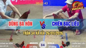 Trận 34 Xà Xía 26/1/2026 - Que Nghệ Anh Chiến Đâm Thủng Tim Gà Điều