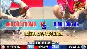 Trận 35 CPC3 4/1/2026 - Mái Lại Anh Định Đâm Như Máy Hạ Điều Siêu Mỹ