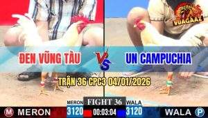 Trận 36 CPC3 4/1/2026 - Bướm Đâm Úa Má Minh Bại Liệt Tứ Chi