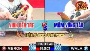 Trận 40 CPC3 8/1/2026 - Gà Chuối Anh Vinh Đá Phát Nào Tiền Về Phát Đó