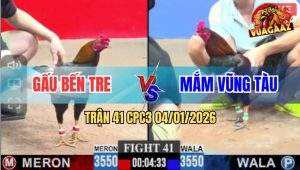 Trận 41 CPC3 4/1/2026 - Điều Anh Mắm Hạ Gà Anh Gấu Không Dính Mũi Cựa