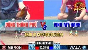 Trận 41 CPC3 8/1/2026 - Gà Điều Anh Dũng Vô Nước Khuya Đá Quá Lực