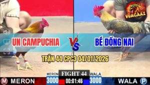 Trận 44 CPC3 4/1/2026 - Khét Đá Chân Nào Gà Cú Anh Bé Chặn Hết Chân Đó