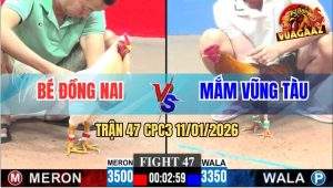 Trận 47 CPC3 11/1/2026 - Vô Bảng Điều Anh Mắm Bay Qua Đá Gà Úa Quẹo Cổ