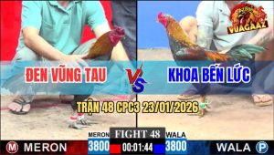 Trận 48 CPC3 23/1/2026 - Que Ra Chân Quá Nhanh Hạ Bông Sau 1 Tay Nước