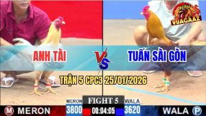 Trận 5 CPC3 25/1/2026 - Gà Khét Anh Tuấn Sài Gòn Đâm Như Máy Điện