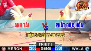Trận 5 CPC3 29/1/2026 - Bướm Chân Trắng Anh Tài Đá Bo Như Xe Đụng