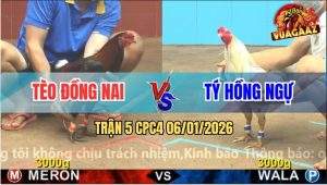 Trận 5 CPC4 6/1/2026 - Anh Tèo Và Anh Tý Không Phân Thắng Bại