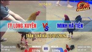 Trận 5 Xà Xía 13/1/2026 - Cú Kêu Chân Trước Chân Sau, Điều Tốc Chạy