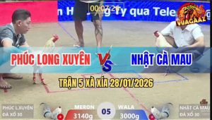 Trận 5 Xà Xía 28/1/2026 - Bướm Hiệu Anh Phúc Đá Xanh Không Kịp Tha Lơ