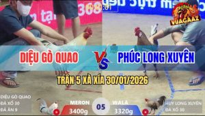 Trận 5 Xà Xía 30/1/2026 - Bướm Đá Gà Cú Anh Phúc Thừa Sống Thiếu Chết