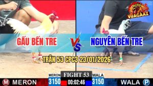 Trận 53 CPC3 23/1/2026 - Úa Anh Nguyên Đâm Bướm Anh Gấu Nằm Đập Cánh