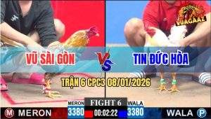 Trận 6 CPC3 8/1/2026 - Gà Bướm Anh Tin May Độ, Nuốt Ói Hạ Vàng Bồng