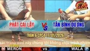 Trận 6 CPC4 17/1/2026 - Điều Cọp Anh Phát Đá Tăng 1 Lấy Mạng Điều Bông