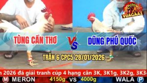 Trận 6 CPC5 28/1/2026 - Đỏ Nạp Lọt Nách, Xanh Chết Từ Trong Ra Ngoài
