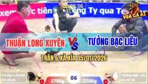 Trận 6 Xà Xía 5/1/2026 - Camelo Anh Tưởng Xin Gà Chuối Anh Thuận 1 Giò