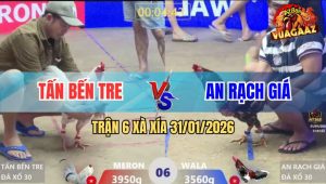 Trận 6 Xà Xía 31/1/2026 - Điều Bông Siết 1 Hơi Bướm Mất Một Giò