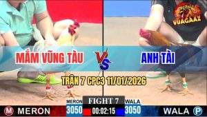 Trận 7 CPC3 11/1/2026 - Bướm Anh Mắm Đá Như Mưa Điều Gục Ngã Tuyệt Đối