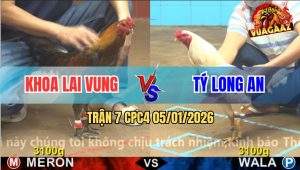 Trận 7 CPC4 5/1/2026 - Bướm Di Bạc Buông Tay Bị Xám Đá Chạy Bung Bò