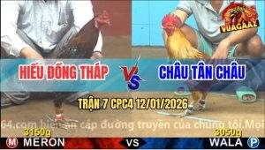 Trận 7 CPC4 12/1/2025 - Que Bông Đâm Vàng Tàu Đứng Thở Cũng Thấy Mệt