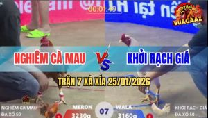 Trận 7 Xà Xía 25/1/2026 - Anh Kiểm Sửa Gà Đỉnh Cao, Lật Kèo Phút 90