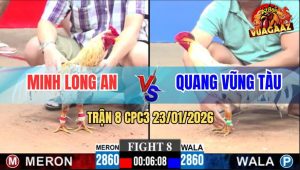 Trận 8 CPC3 23/1/2026 - Bướm Má Minh Đi Bộ Cũng Đâm Hạ Cọp Vũng Tàu
