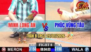 Trận 8 CPC3 25/1/2026 - Xám Bông Má Ming Tang Ăn, Dính Chân Xui Hòa