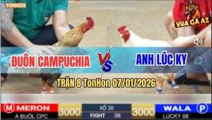 Trận 8 TonHon 7/1/2026 - Thăng Bến Tre Rớt Nài Với Anh Đuôn Campuchia