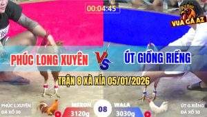 Trận 8 Xà Xía 5/1/2026 - Úa Anh Út Đá Toàn Đầu Cần Tiễn Khét Lên Đường