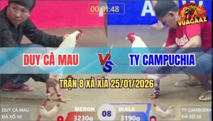 Trận 8 Xà Xía 25/1/2026 - Anh Kiểm Lại Hạ Anh Duy Khi Thả Hộ Cánh CPC