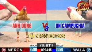 Trận 9 CPC3 11/1/2026 - Hai Con Tang 5-5, Hai Chủ Gà Bắt Tay Hòa