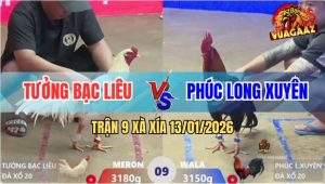 Trận 9 Xà Xía 13/1/2026 - Úa Hiệu Anh Kiểm Bao Bồ Bị Điều Đá Chết Đứng