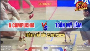 Trận 9 Xà Xía 23/1/2026 - Giao Nạp Kinh Hoàng, 2 Con Ói Nằm Bất Động