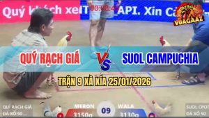 Trận 9 Xà Xía 25/1/2026 - Anh Kiểm Sửa Gà Đẳng Cấp, Còn Đứng Là Còn Ăn
