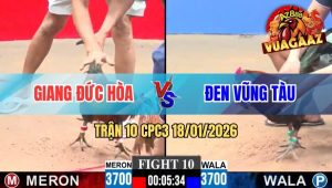 Trận 10 CPC3 18/01/2026
