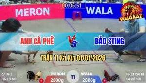 Trận 11 Xà Xía 01/01/2026